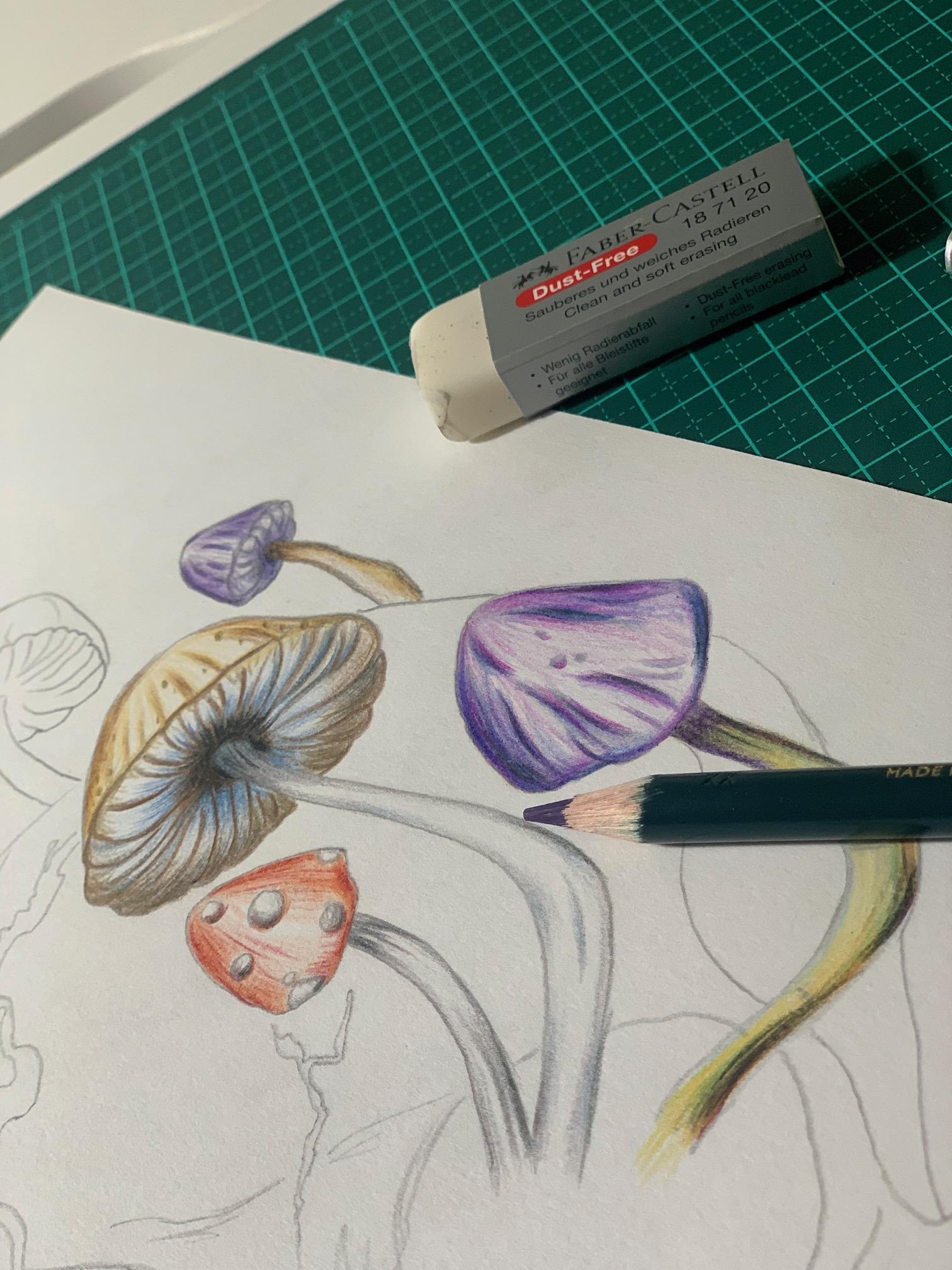 Close-up of a pencil tip on the illustration, mushroom detail
